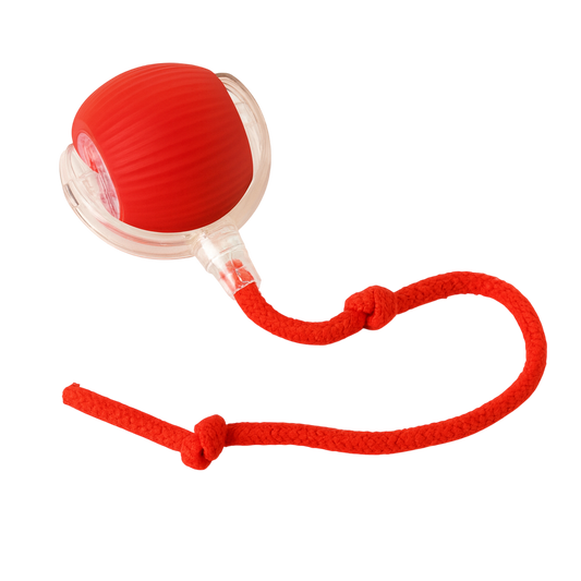 HuntBall — Automatic Cat Toy